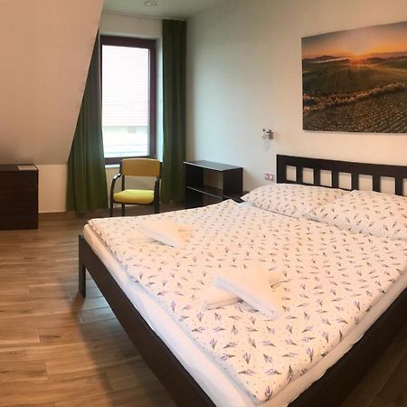 Hotel Vinarsky Dum V Zahrade Pasohlávky Esterno foto