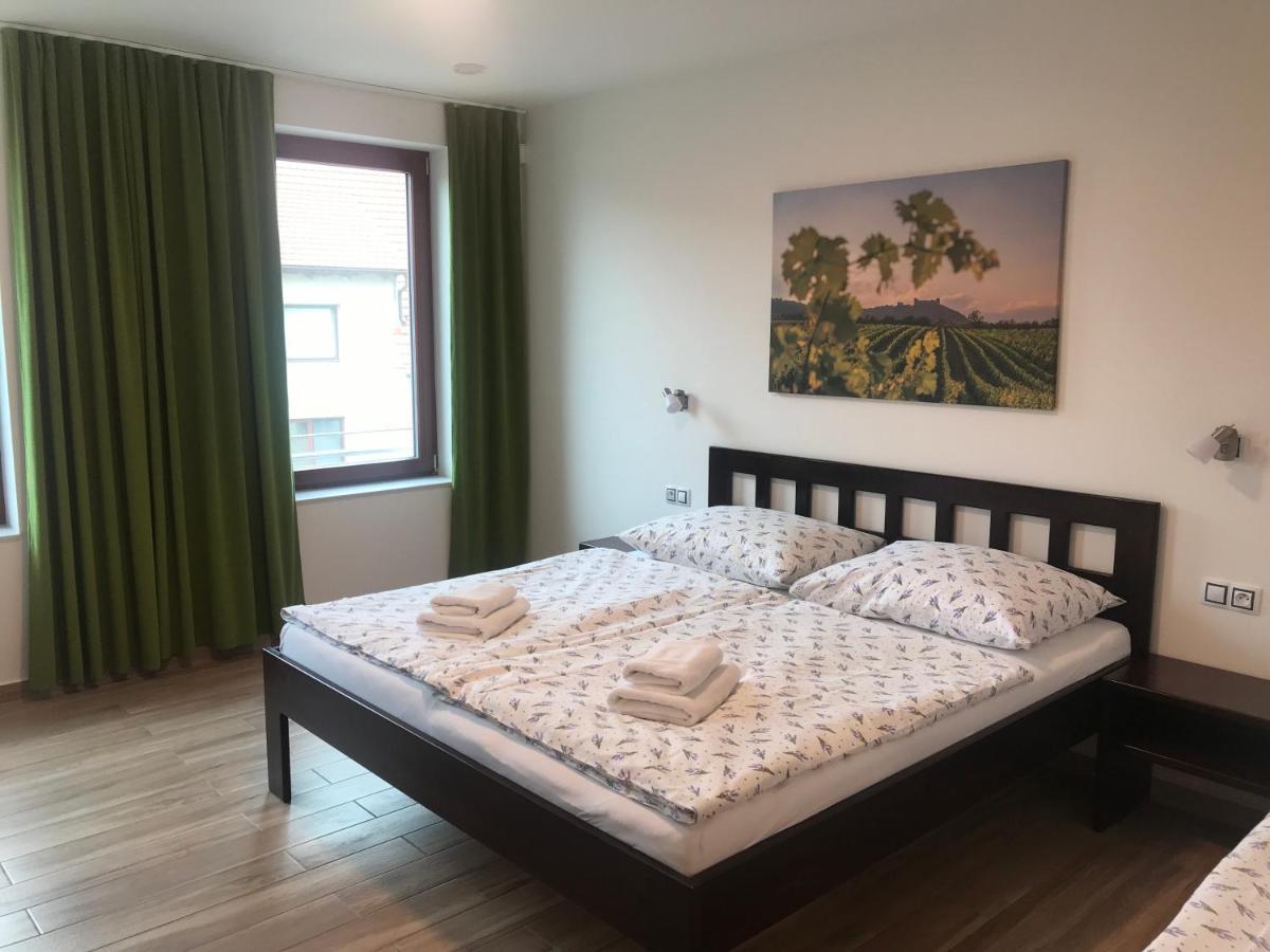 Hotel Vinarsky Dum V Zahrade Pasohlávky Esterno foto