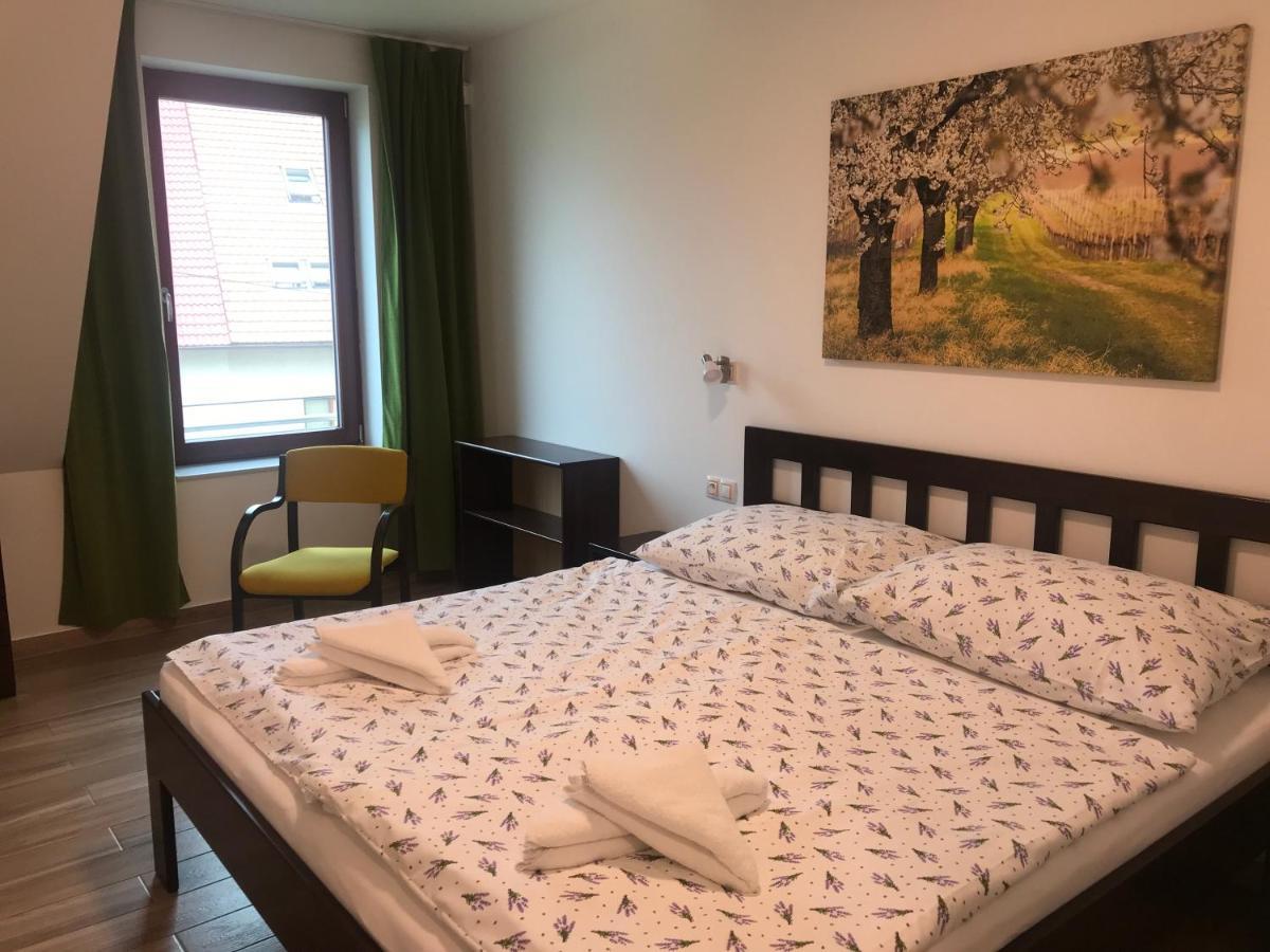 Hotel Vinarsky Dum V Zahrade Pasohlávky Esterno foto